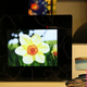 Illustration for article titled Prinics' Digital Photo Frame Has Onboard Printer, Speakers, Plays 'Baby Got Back'